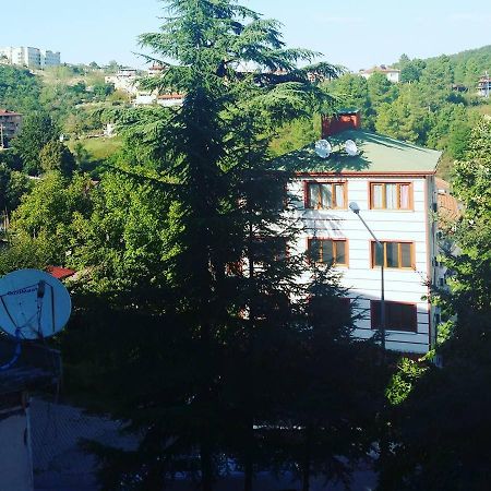 يالوفا Thermal Orkide Pansiyon المظهر الخارجي الصورة