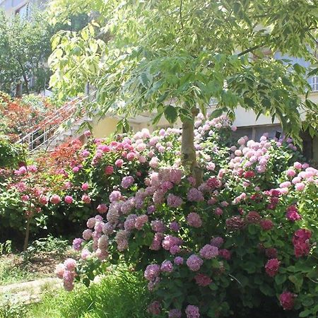 يالوفا Thermal Orkide Pansiyon المظهر الخارجي الصورة