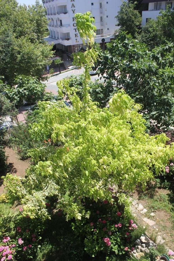 يالوفا Thermal Orkide Pansiyon المظهر الخارجي الصورة